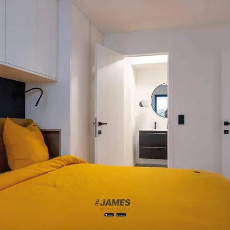 公寓 Stunning Design Apartment On A Top Location 克诺克－海斯特